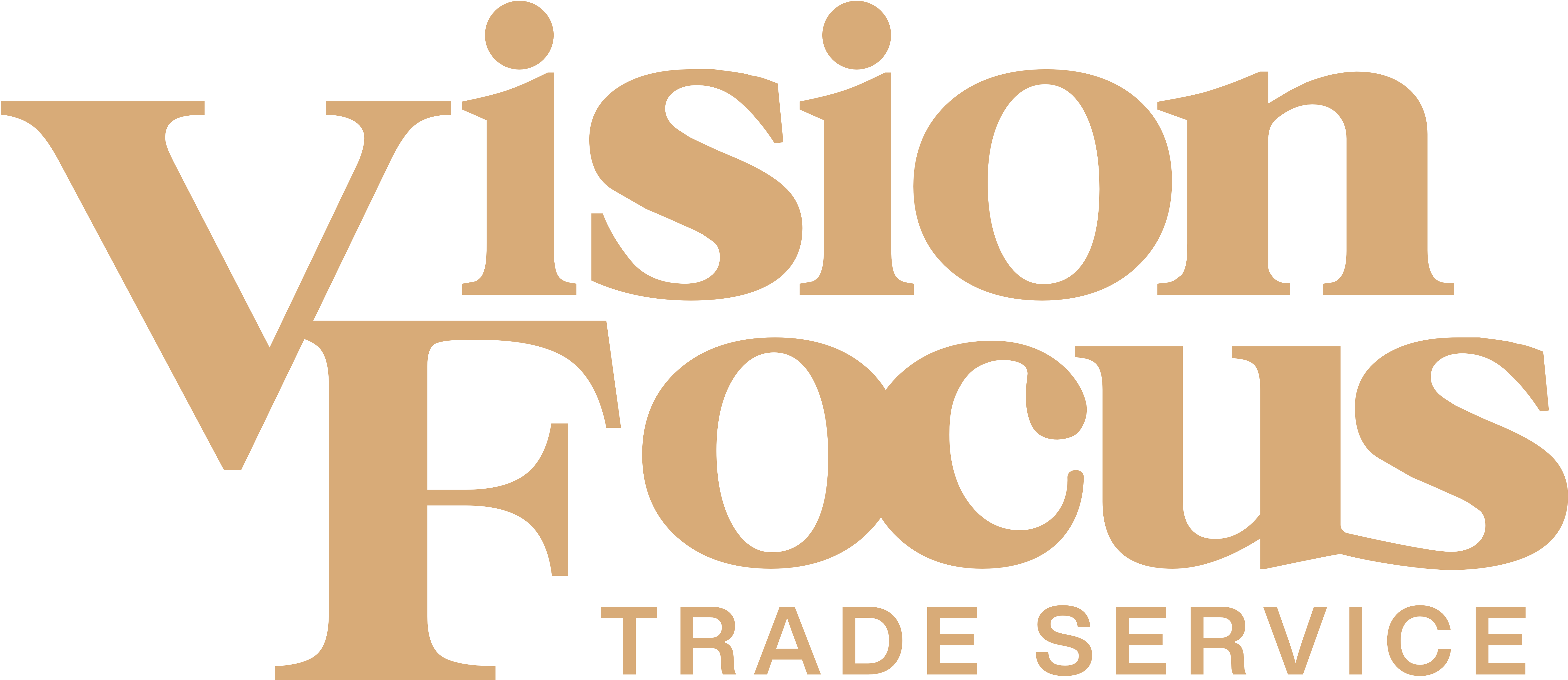 Vision Focus Logo